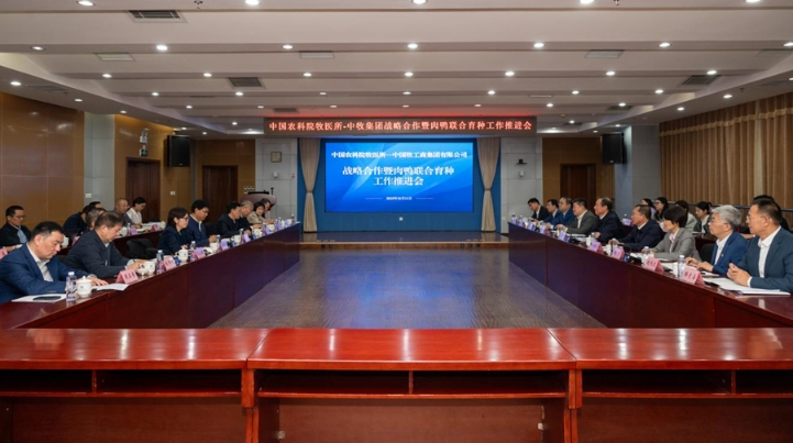 微信图片_20251015174428_1403_9.png 微信图片_20251015174428_1403_9.png